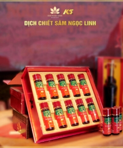 Dịch chiết Sâm Ngọc Linh 10 chai/hộp