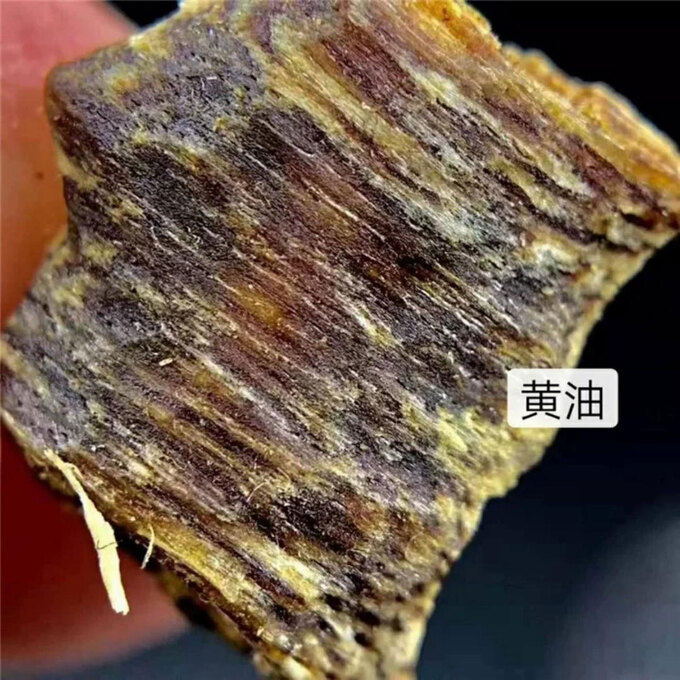 Con người có thể tạo ra Kỳ nam trị giá hàng tỷ đồng?